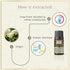Ryaal Jasmine Essential Oil for Skin & Hair Growth